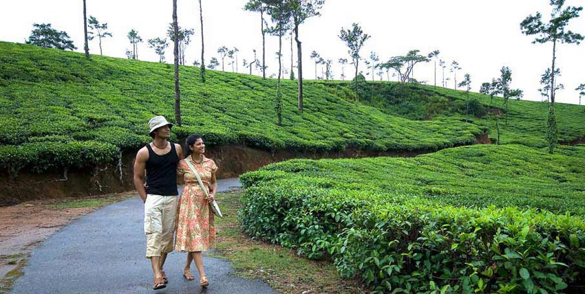 ooty tour packages for couple from mumbai